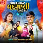 Gomne Padar Padmani Dhamko Dholo Nehya