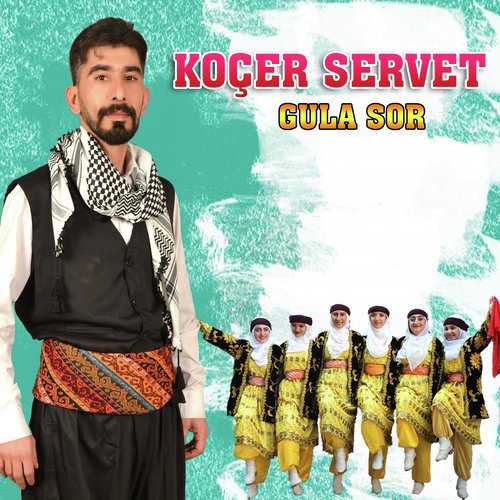 Şara Yaram cover art