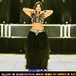 Haluwa Me Gajar Patkaai Mhara Senda Ku Number De Aai