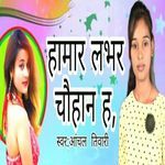 Hamar Lover Chauhan H