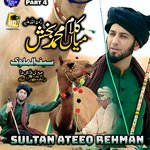 Kalam Mian Muhammad Baksh - Zatan Da Tu Man Karin Na - Part 4