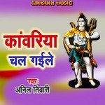 Kanwariya Chal Gaile