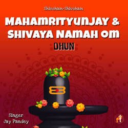 Mahamritunjay And Shivaya Namah Om - Dhun-GwRaViN7fWo