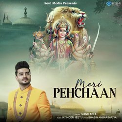 Meri Pehchaan-FCoRVAIETVI