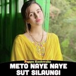 Meto Naye Naye Sut Silaungi
