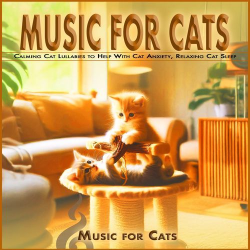 Music for Cats: Calming Cat Lullabies to Help With Cat Anxiety, Relaxing Cat Sleep