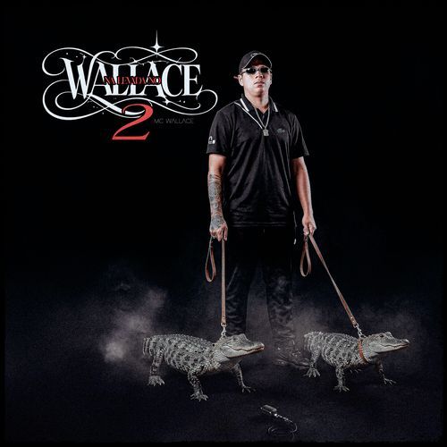 Na Levada Do Wallace 2