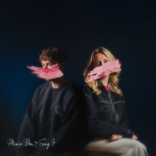 Please Don't Say It cover art