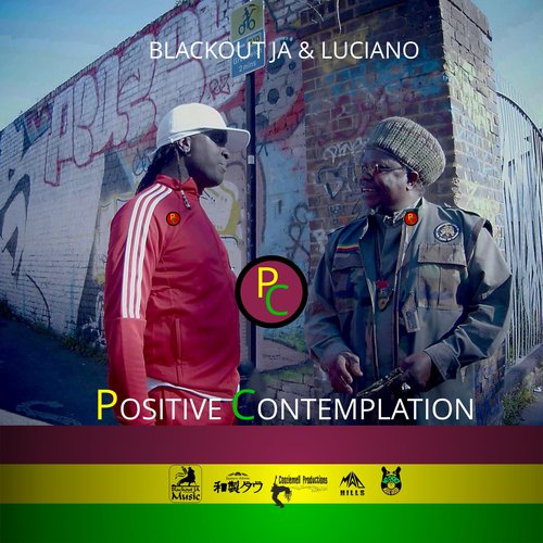 Positive Contemplation (feat. Luciano)_poster_image