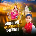 Sheravali Ke Jaykar Lagta