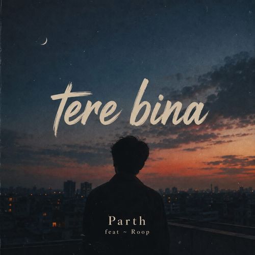 Tere Bina