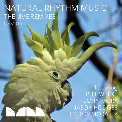 The Jive (Hector Moralez Remix) cover art