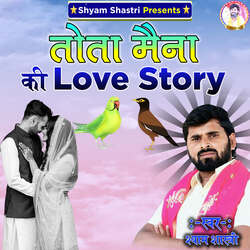 Tota Maina Ki Love Story-HDITXk1DegY