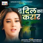 Tu Dil Ka Karaar Hai