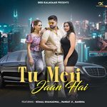 Tu meri Jaan hai