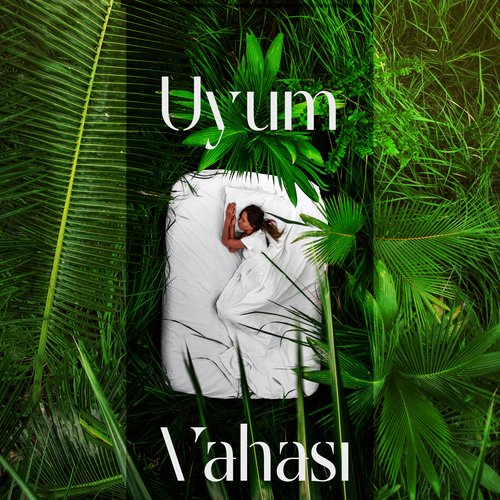 Uyum Vahası: Bebek İçin Sessiz Frekanslar 2022_poster_image