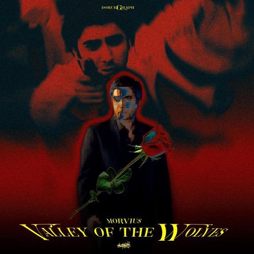 VALLEY OF THE WOLVES cover art