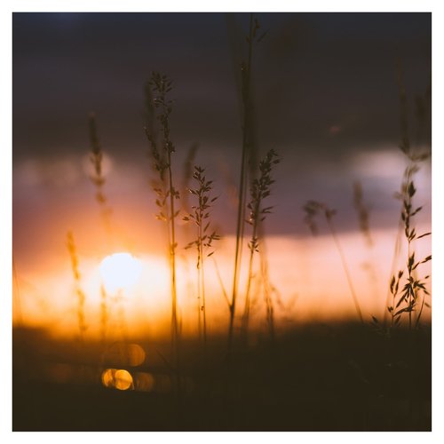Views I Remember From My Childhood cover art
