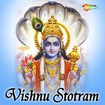 Vishnu Stotram