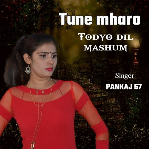 tune mharo todyo dil mashum