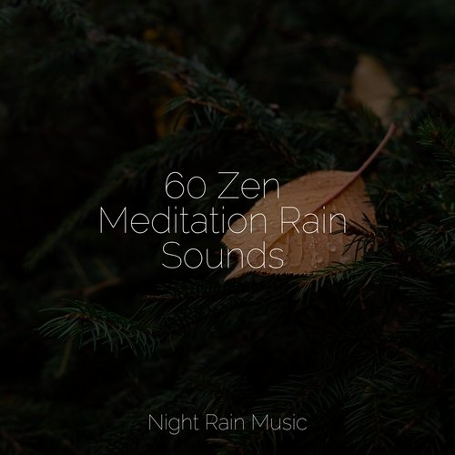 Rain, Storm and Thunder cover art