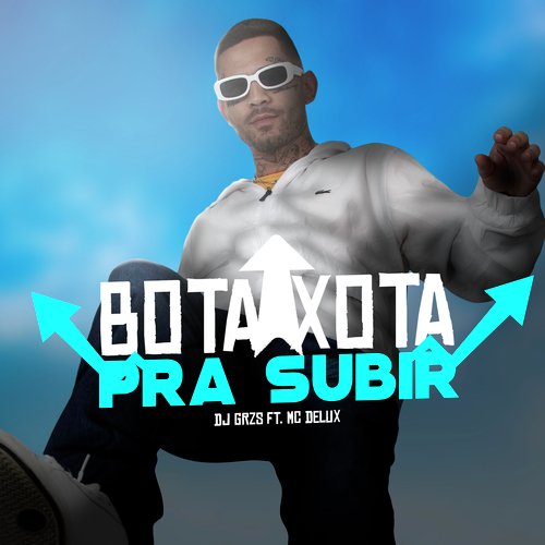 Bota Xota Pra Subir_poster_image