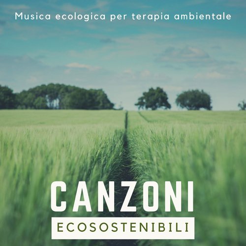 Spirito sciamano cover art