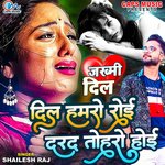 Dil Hamaro Roi Darad Toharo Hoi