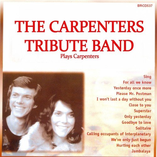 The Carpenters Tribute Band