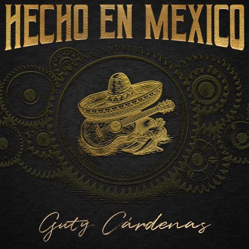 Golondrina Viajera cover art