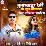 Kushwaha Ji Ke Juth  Patalawa (Aashu Film)