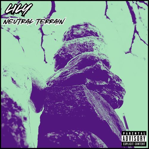 Lily cover art