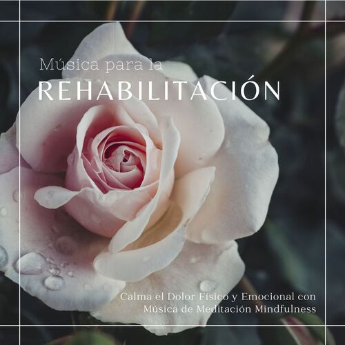 Trastornos de Ansiedad cover art