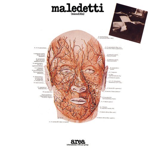 Maledetti