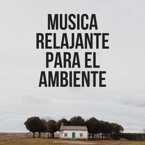 Musica Relajante para el Ambiente_poster_image