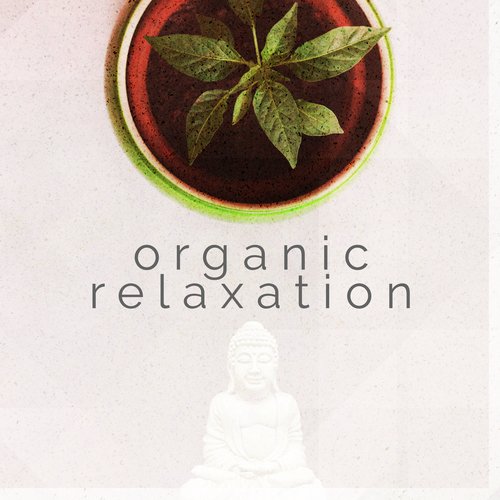 Organic Relaxation