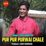 Pur Pur Purwai Chale