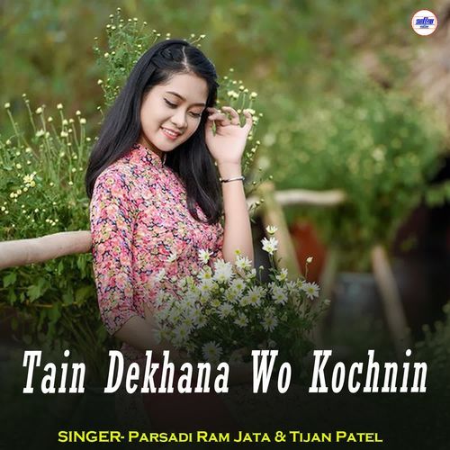 Tain Dekhana Wo Kochnin
