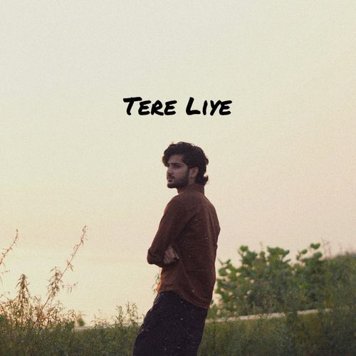 Tere Liye