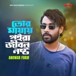 Tor Mayay Poyra Jibon Nosto