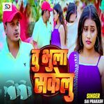 Tu Bhula Sakelu