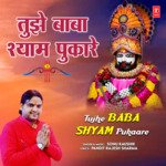 Tujhe Baba Shyam Pukaare