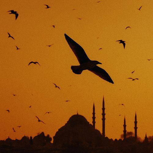 Uçurum