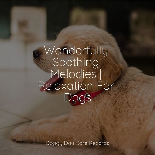 Wonderfully Soothing Melodies | Relaxation For Dogs