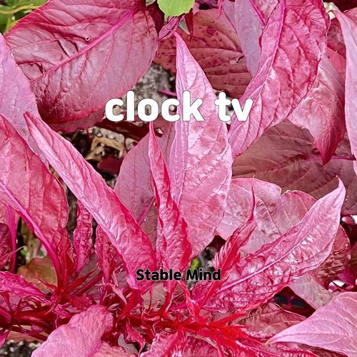 later with jools holland cover art