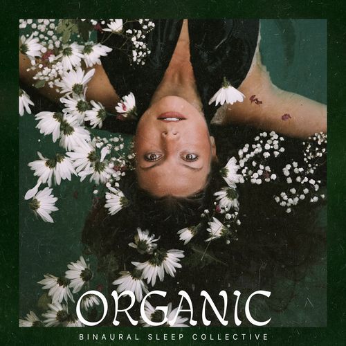Binaural Nature cover art