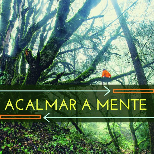 Música Relaxante com Sons da Natureza cover art