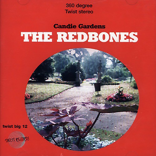 Elvis cover art