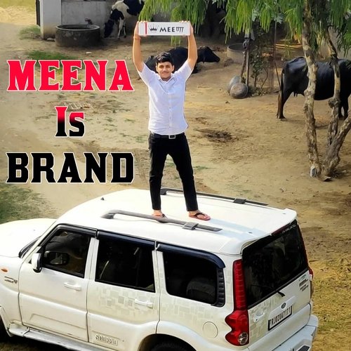 Chez Brand Meena Ch