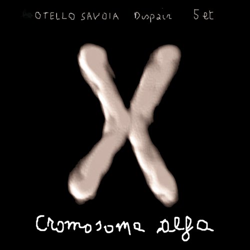 Cromosoma Alfa